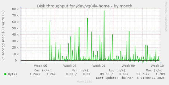 Disk throughput for /dev/vg0/lv-home